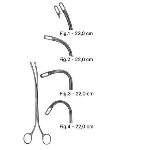Pensa calculi renali Randall, diverse dimensiuni