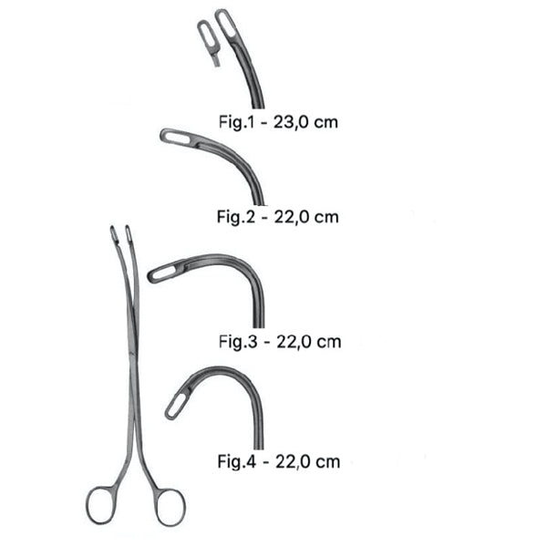Pensa calculi renali Randall, diverse dimensiuni