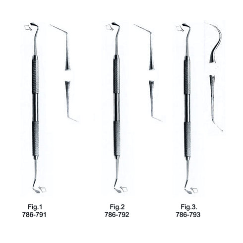 Aplicator gingival | Alexa Medical