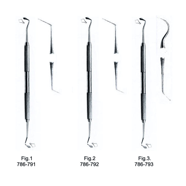Aplicator gingival | Alexa Medical