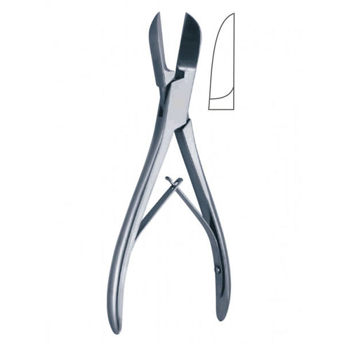 Cleste ciupitor os Liston