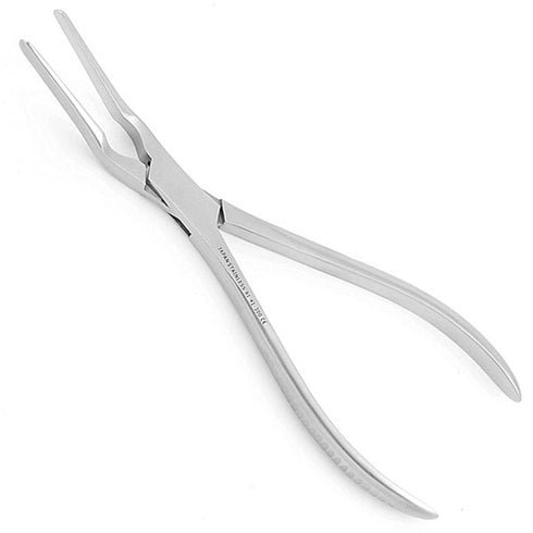 Cleste sept nazal Asch