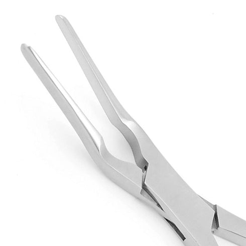 Cleste sept nazal Asch