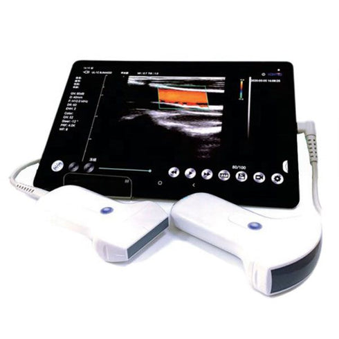 Ecograf ultraportabil wireless C10UR-UL