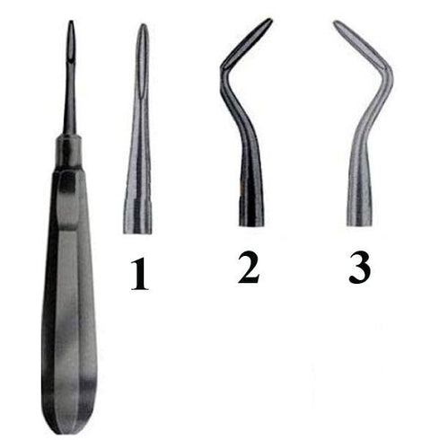 Elevator Flohr, model 1, 786-251-253 | Alexa Medical