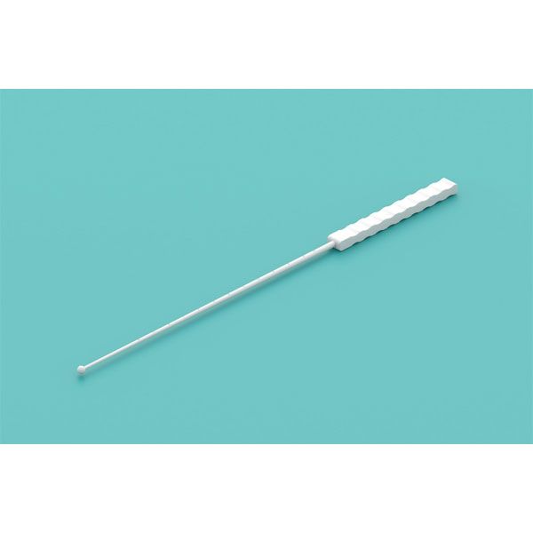 Histerometru drept, gradat