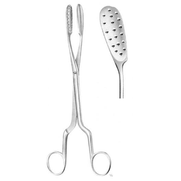 Pensa Lewkowitz | Alexa Medical