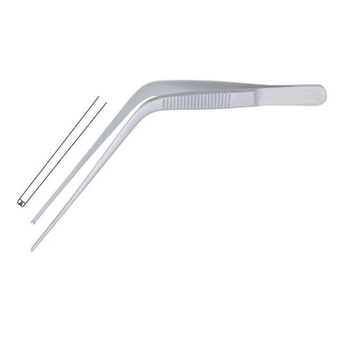 Pensa auriculara Troeltsch, diverse dimensiuni