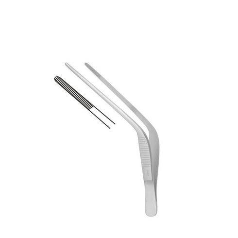 Pensa auriculara Troeltsch | Alexa Medical