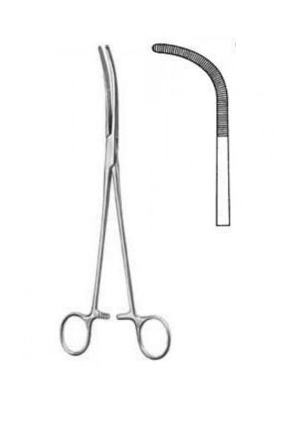 Pensa Rummel - Alexa Medical