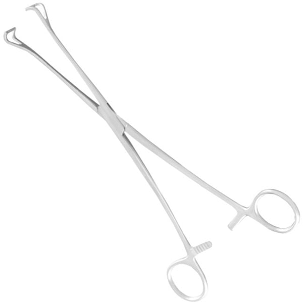 Pensa intestinala Babcock | Alexa Medical