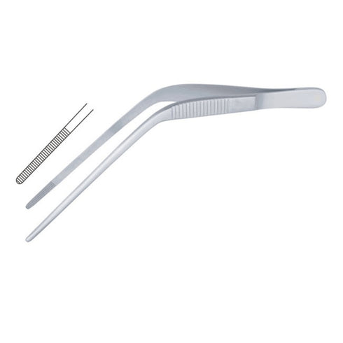 Pensa nazala Troeltsch | Alexa Medical