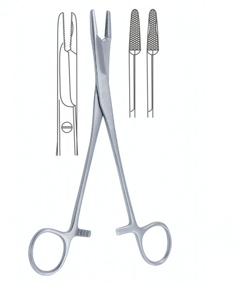 Port ac Olsen | Alexa Medical